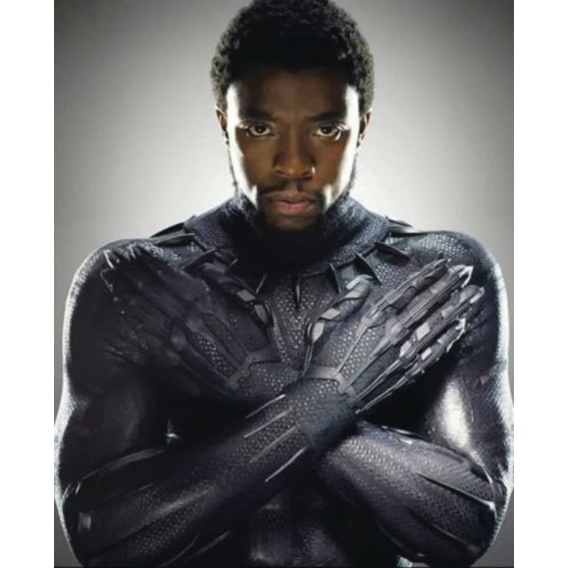 Black Panther: Wakanda Forever The Courage to Dream (Hardcover)