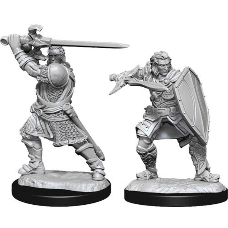 D&D Nolzur’s Marvelous Unpainted Minis: W14 Male Human Paladin