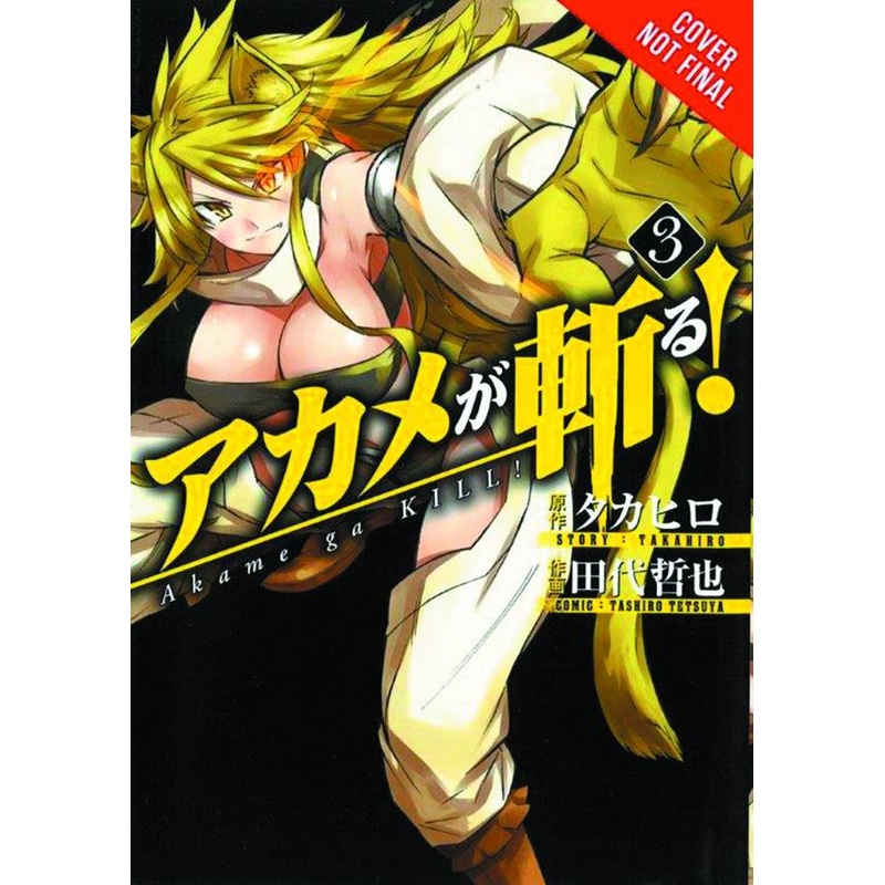 Akame Ga Kill GN Vol 03