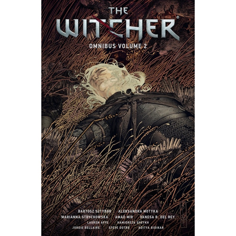 The Witcher Omnibus Volume Two TP
