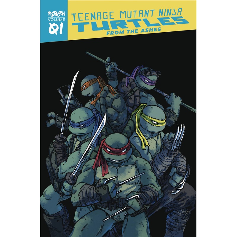 TMNT Reborn TP Vol 01 From The Ashes