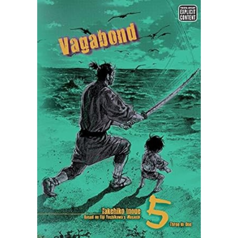 Vagabond Vizbig Ed., Vol. 5