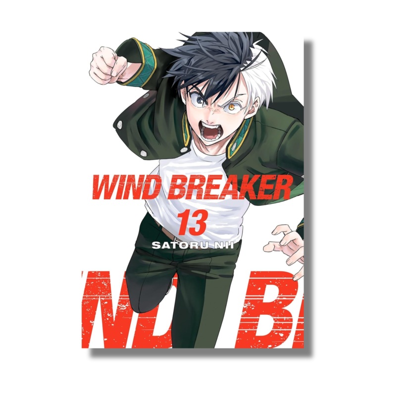 Wind Breaker Vol 13