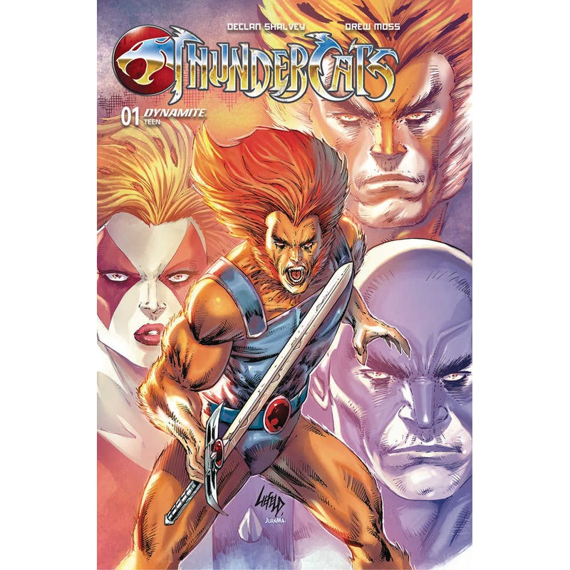 Thundercats #1 Cover Zc Foc Liefeld Original *one per customer*