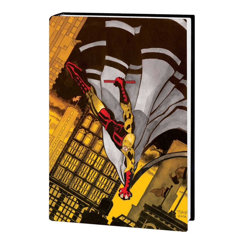 Jeph Loeb And Tim Sale Daredevil Gallery Edition Hardcover Direct Market Cover