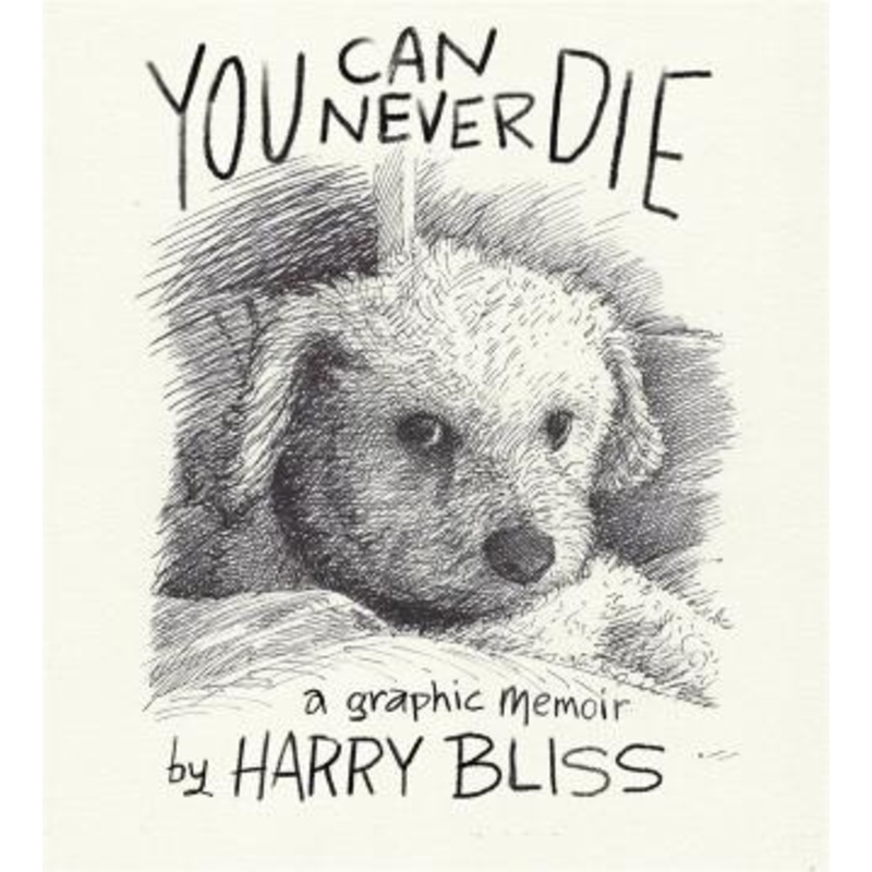 You Can Never Die: A Graphic Memoir (Hardcover)