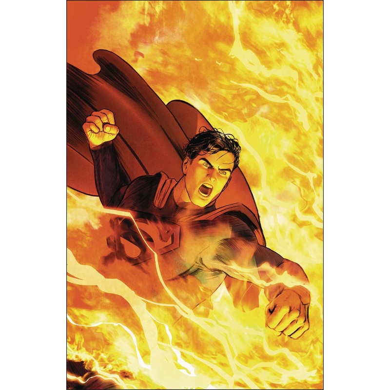 Superman: The Final Days of Superman (Hardcover)