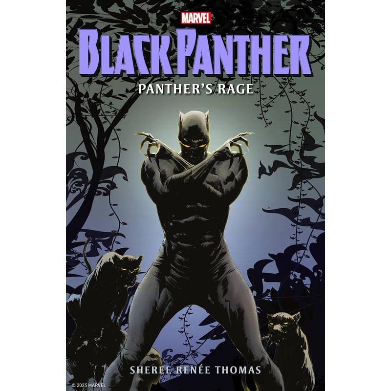 BLACK PANTHER PANTHERS RAGE PROSE NOVEL HC (11 Jun Release)