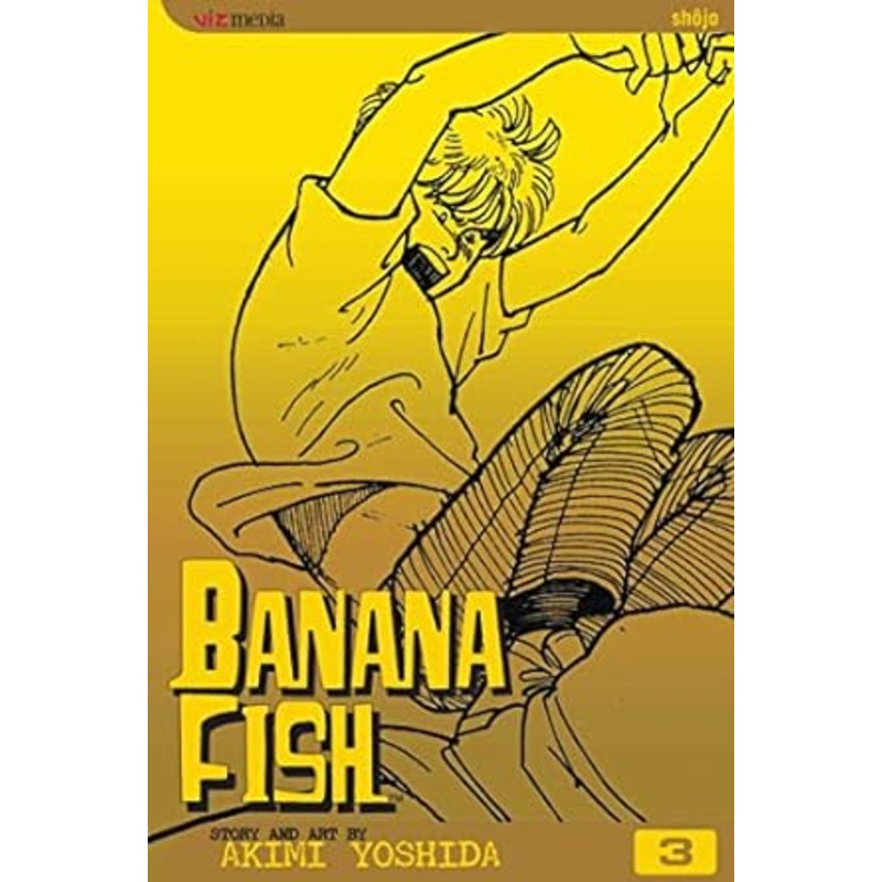 Banana Fish, Vol. 3