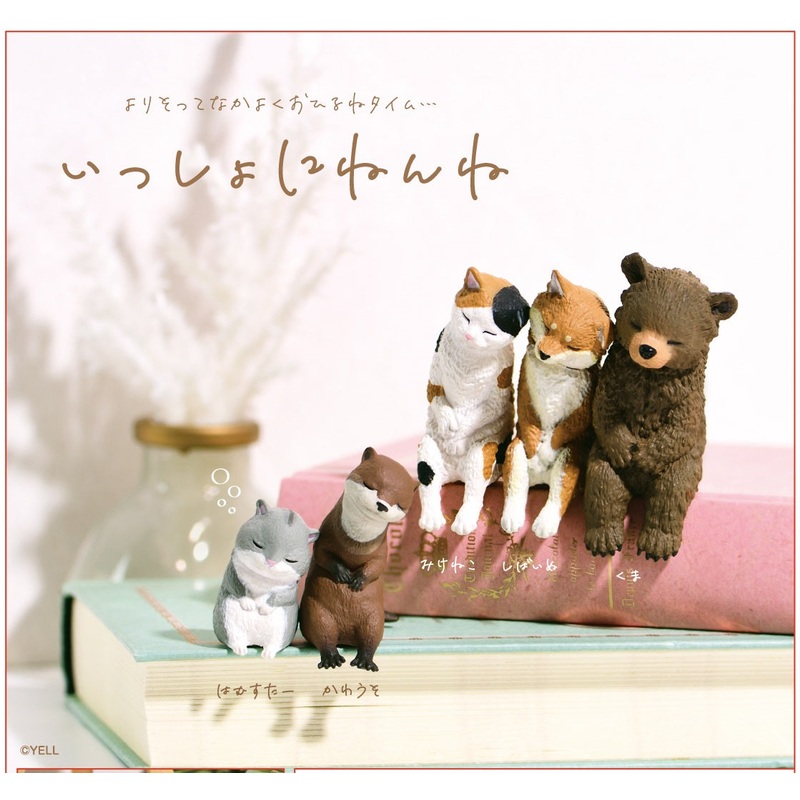 Sleepy Animals Blind Box