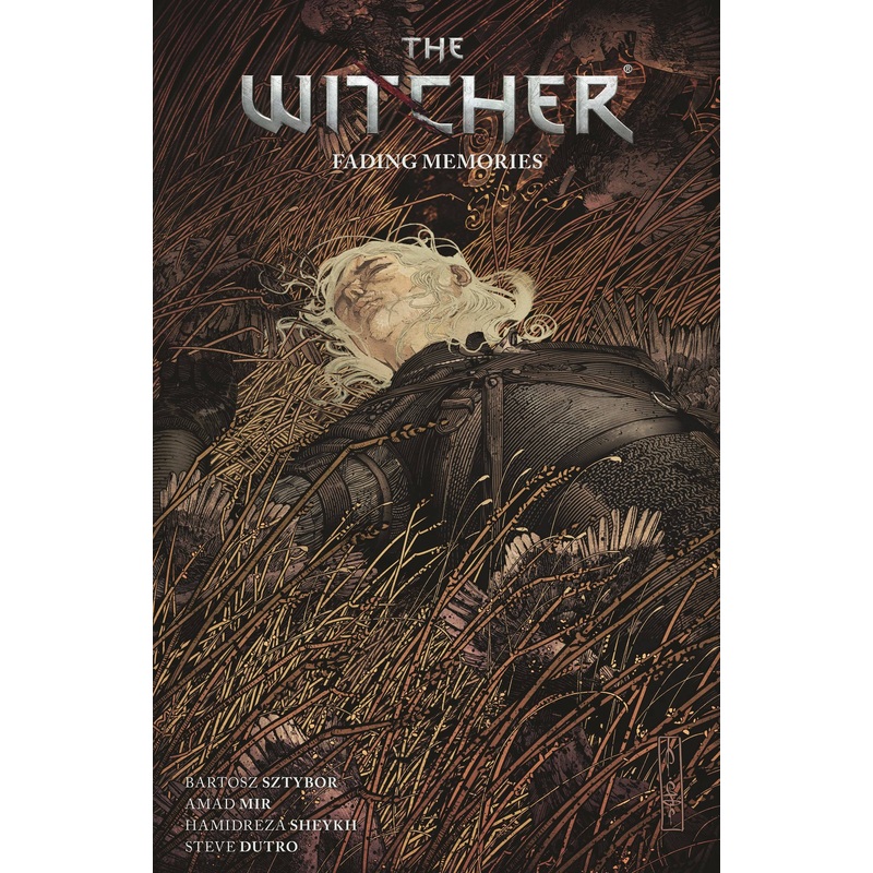 Witcher TP Vol 05