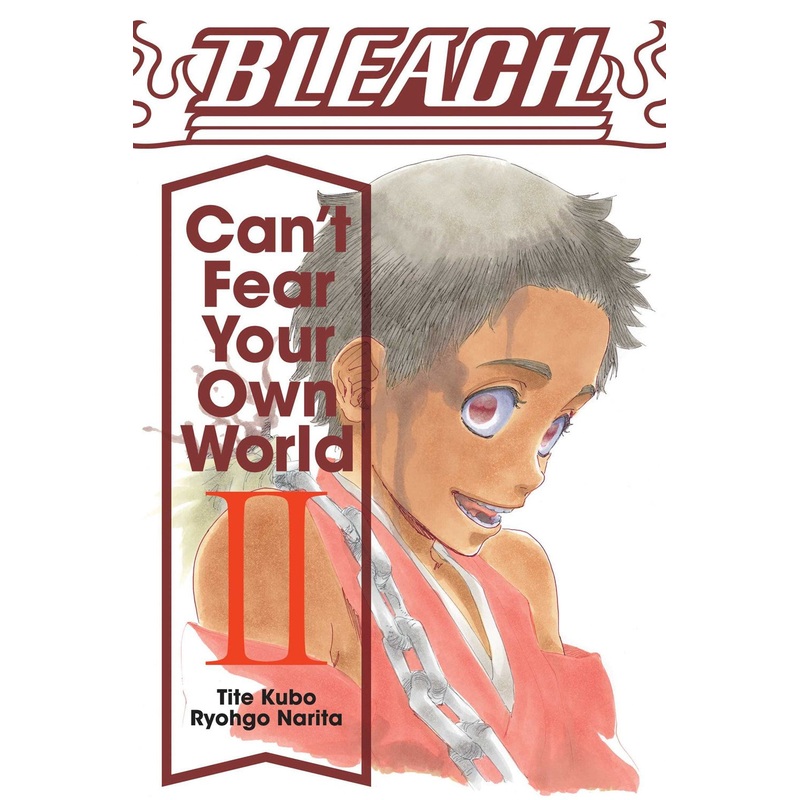 Bleach: Can’t Fear Your Own World, Vol. 02