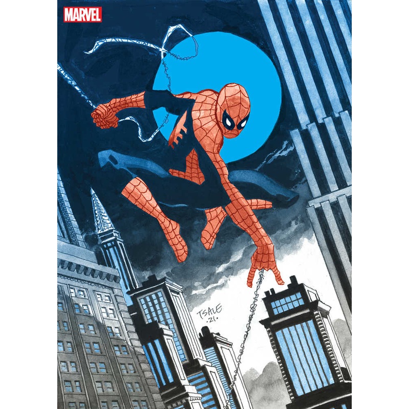 Jeph Loeb Tim Sale Spider-Man Gallery Edition Hardcover Direct Market Variant