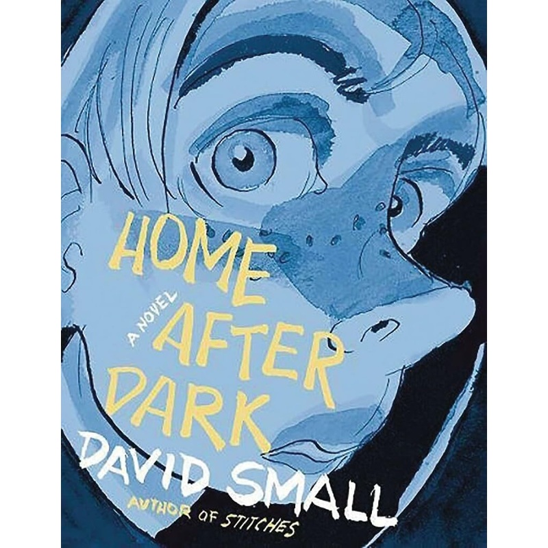 Home After Dark Graphic Novel