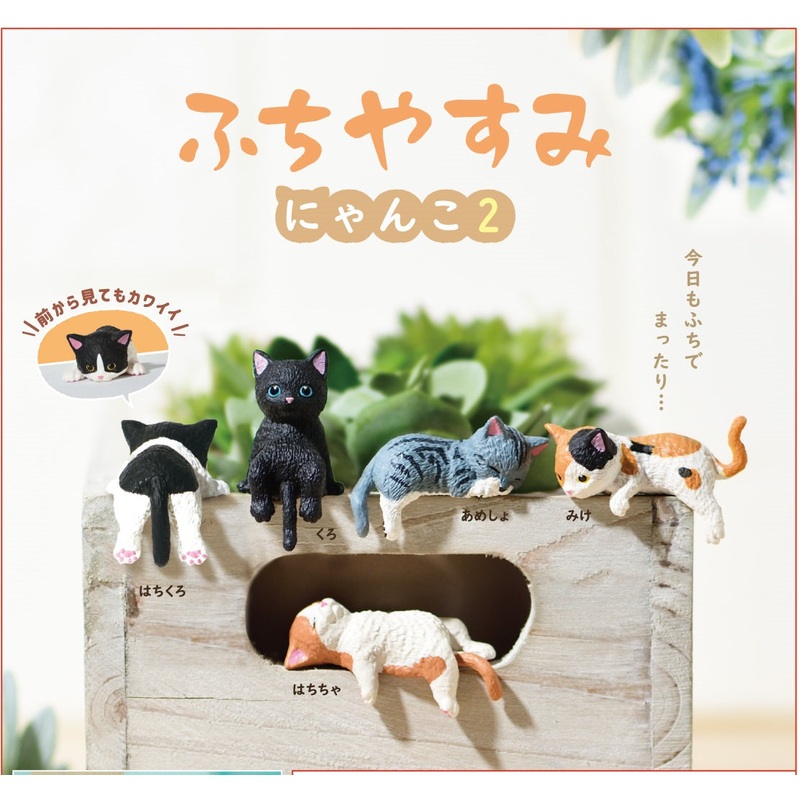Resting Cats Blind Box
