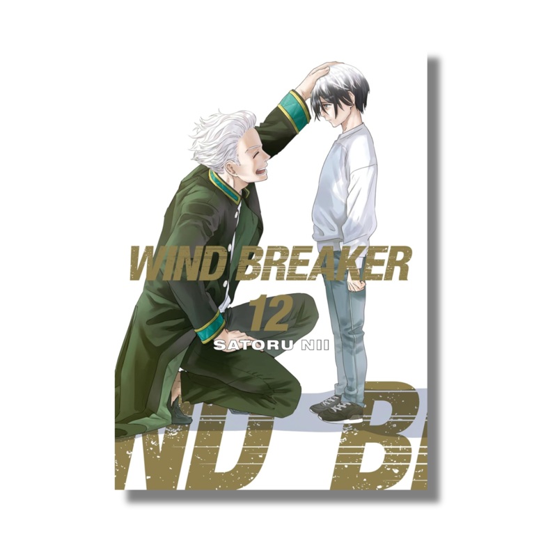 Wind Breaker Vol 12