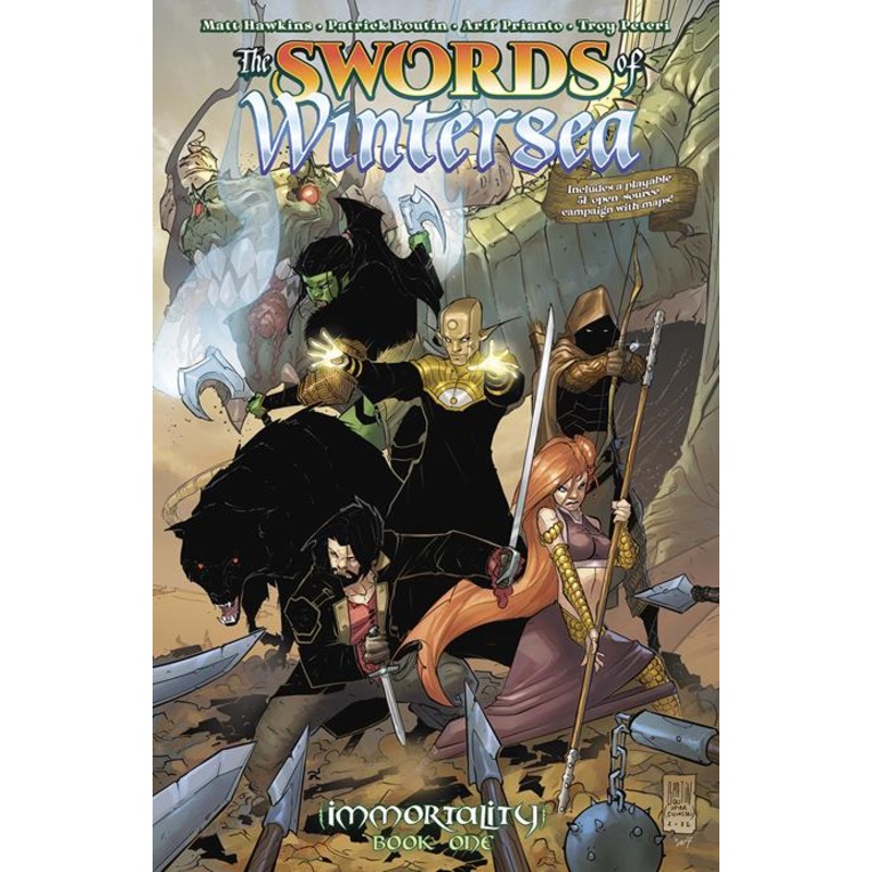 Swords Of Wintersea TP Book 01 *PRE-ORDER*
