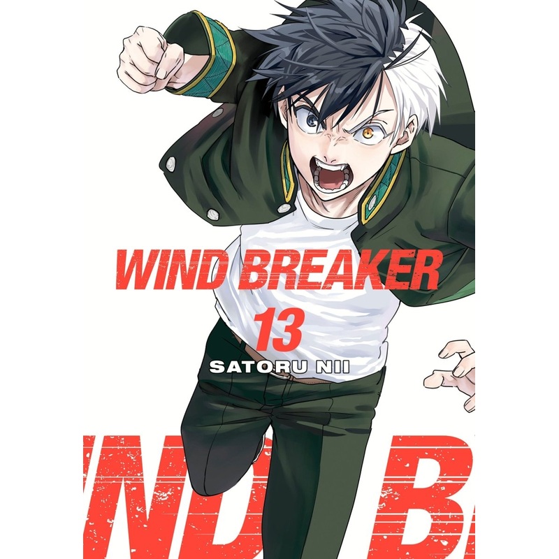 Wind Breaker 13