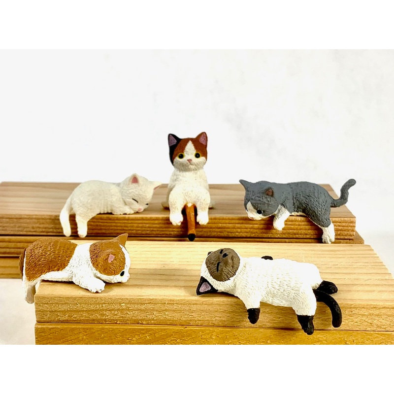 Playful Hanging Cat Blind Box